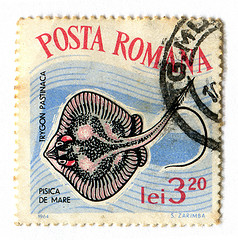 postaromana