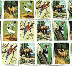 stampnature